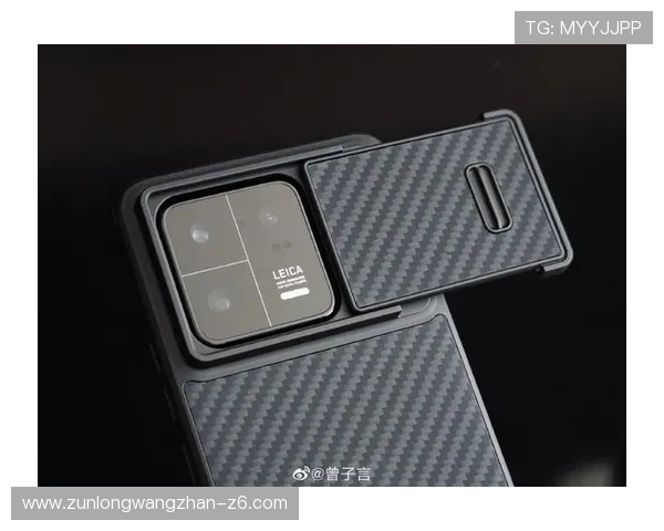 尊龙手机官方地址官方入口导航，确保每位用户都能轻松找到官方渠道