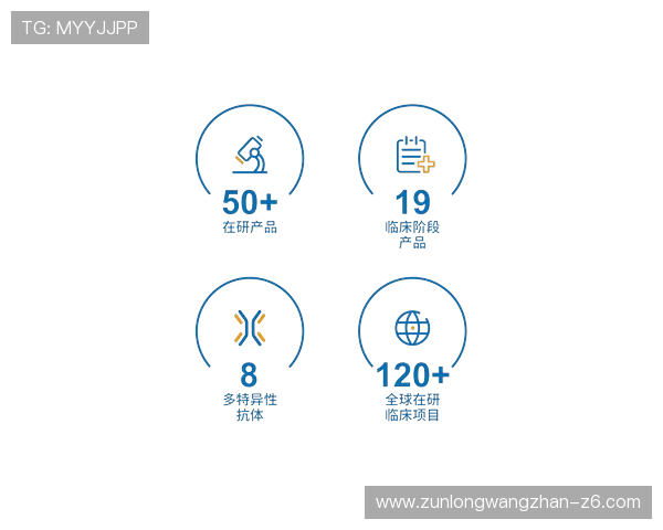 Z6尊龙官网登录入口操作流程详解，新手玩家轻松上手体验