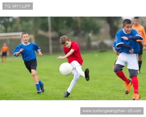 开云体育官网网页版丰富的赛事种类全面覆盖各类体育项目满足多样需求