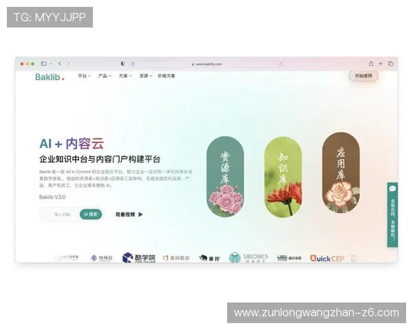 云开旗舰厅登录线路优化方案提升用户体验指南