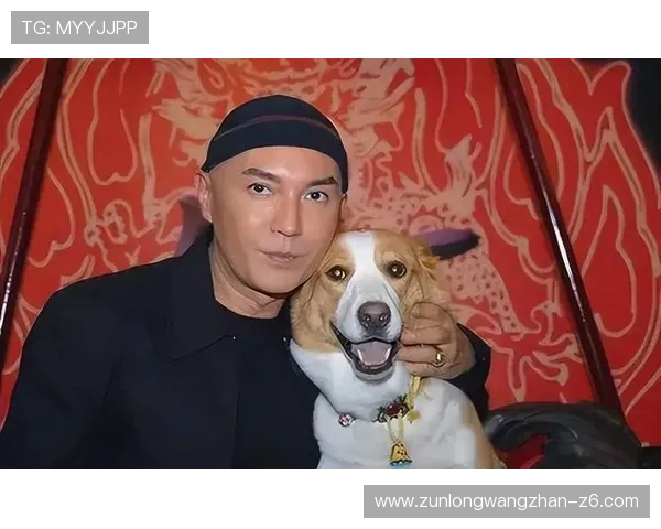 尊龙z6.com：尊龙品牌的创新技术与产品设计亮点分析