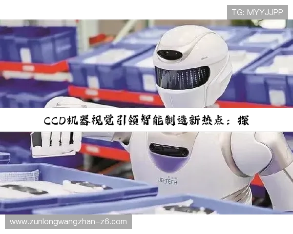 尊龙凯时官方网站入口：官方入口的安全验证流程与防范措施介绍