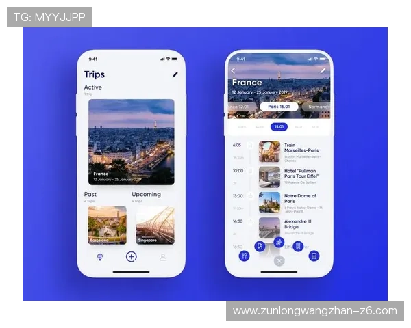 探讨尊龙登录入口的用户体验与界面设计
