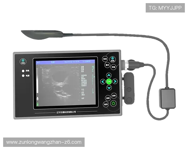 凯时尊龙app常见故障排查与优化体验的实用建议与方法