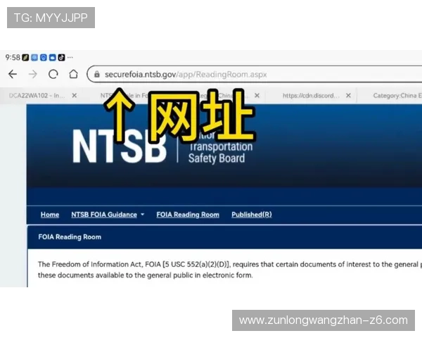尊龙app网站最新版本下载安装指南与安全保障措施详解